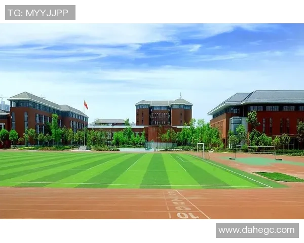 成都国际足球中心正式开建助力城市体育发展与国际交流新篇章