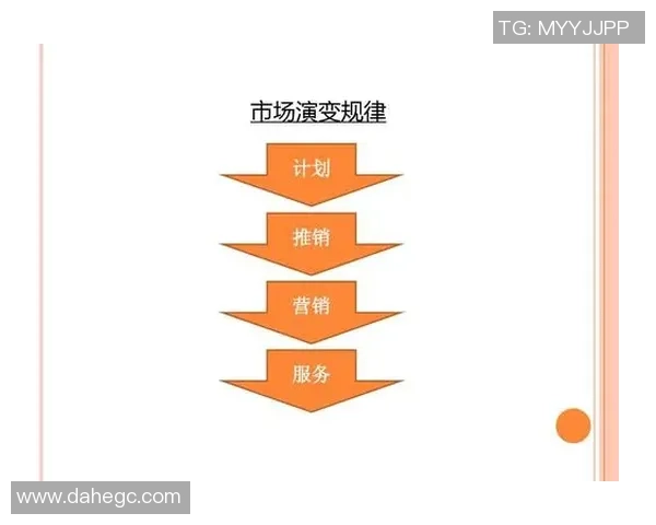 深入分析IG战队的反击策略与战术执行细节