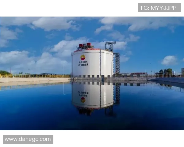 重磅专题：探索LNG产业链的盯防革新与未来发展趋势